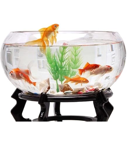 Amazon.co.jp: エッチング模様のガラス金魚鉢 手吹きガラス 直径約30cm