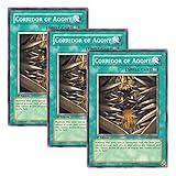 【 3枚セット 】遊戯王 英語版 TSHD-EN062 Corridor of Agony 苦痛の回廊 (ノーマル) 1st Edition