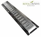 ロイヤルLinearシャワー排水 – Linearウェッジ – ステンレススチール豪華なラインby Serene蒸気Includeヘアトラップ 47 Inch