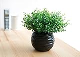 人工観葉植物 光触媒 かわいい お世話のいらない 癒しの グリーン キッチン リビング に置くだけで 癒しの 空間 を創りだす インテリア グリーン (ブラック 黒)