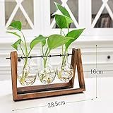 Liebeye 植木鉢 水耕植物 水耕栽培 フラスコ型 ガラス 花瓶 植物 花鉢 容器 置物 インテリア DIY おしゃれ 三つタイプ
