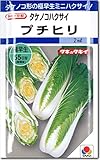 白菜種子・プチヒリ（2ml）