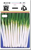 ネギ種子・夏一心（20ml）なついっしん