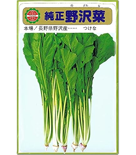 Amazon.co.jp: 漬け菜 種 野沢菜 小袋（約8ml） : DIY・工具・ガーデン