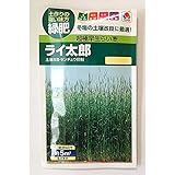 [タネ]超極早生らい麦の種：ライ太郎約5平米分×3袋[タキイ　緑肥、線虫抑制][春・秋まき] ノーブランド品