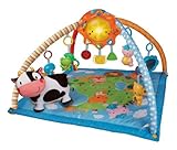 VTech Baby Line Lil' Critters Discover and Learn Gym [並行輸入品]