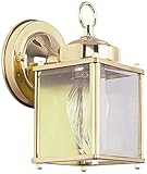 Sunset Lighting F6840-62 Outdoor Wall Sconce with Clear Beveled Glass, Rubbed Bronze Finish [並行輸入品]