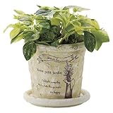 Paseo Terra Cotta Planter IG-11A