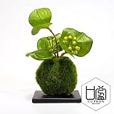 観葉植物 ミニ盆栽 フェイク 造花 ♪【カップボン】サンキライ/苔玉（黒皿）♪ 【prm】インテリアグリーン フェイクグリーン アーティフィシャル 開店祝い 新築祝い ギフト 模様替え 店舗内装 プレ