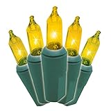 Brite Star 150 Count 8-Function Chasing Light Set, Green Wire, Gold [並行輸入品]