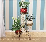 フラワースタンド/植物フローラルメタルスタンド屋内/屋外ガーデンストレージディスプレイスタンド（ホワイト） (色 : 2)