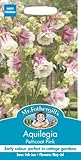 MFFL 英国ミスター・フォザーギルズシード Aquilegia Peticort Pink アクレイジア（オダマキ）・ペチコート・ピンク
