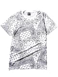 ペイズリー柄 Tシャツ 半袖 メンズ btc003LWHITE