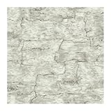 York Wallcoverings LM7987 Lake Forest Lodge Birch Bark Wallpaper, Off White by York Wallcoverings
