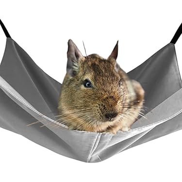 Amazon.co.jp 売れ筋ランキング: 小動物ハンモック の中で最も