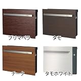 郵便ポスト Noie Cube ノイエキューブ木目タイプ 壁掛け 壁付けポスト タモ