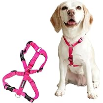 51Ky8no1d4L._AC_UL210_SR210,