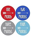Baby Month Stickers by Months In Motion | 12 Monthly Milestone Stickers for Baby Boy Arrows (1057) [