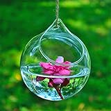 SHINA 2個セット 球形 ハンギング ガラス 花瓶 水栽培ポット 観葉植物 水耕栽培植物 ホームデコレーション