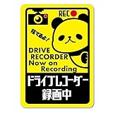 ドラレコひょっこりパンダ ステッカー・マグネット・吸盤から選択 (マグネット)