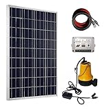 ECO-WORTHY ソーラーポンプ完全セット：100ｗ多結晶 ソーラーパネル＋12V 水ポンプ＋15A チャージーコントローラー＋15.5ｍソーラーケーブルアダプター
