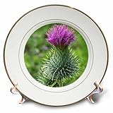 ジャッキー・Popp Nature N Wildlife花 – Giant Thistle – プレート 8" cp_20067_1
