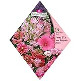 [春・秋まき　花タネ][フランス花の種]ピンクガーデンミックス * ノーブランド品