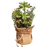 Outflower 盆栽 麻布 人造植物 シミュレーション ミニ盆栽 家庭装飾品 家居の置物 単品 おしゃれな盆栽 プレゼント 人造盆栽 手つくり