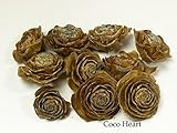 ~Coco Heart~ シダローズ　小　（木の実・ドライフラワー）