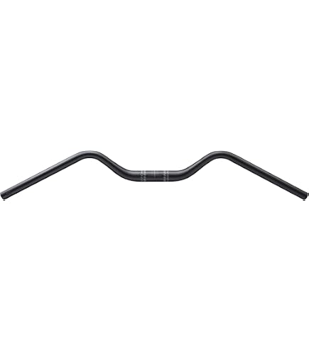 Amazon | Ritchey Compバーエンド 102mm ブラック 2020年モデル