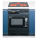 パナソニック ビルトイン電気オーブンレンジ NE-DB300P