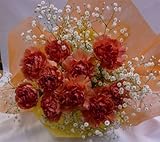 カーネーションの花束/オレンジカーネーションブーケ