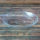 【ノーブランド品】受け皿[ソーサー]：クリアプレート・クリア5号（直径15cm） 10枚セット