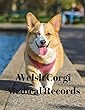 Welsh Corgi Medical Records: Track Medications, Vaccinations, Vet Visits and More
