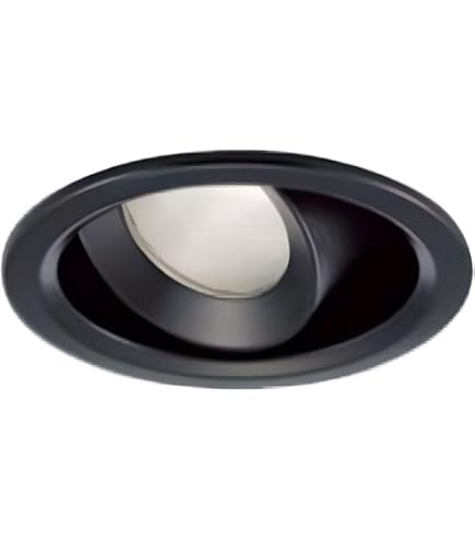 Amazon.co.jp: 大光電機（DAIKO） ユニバーサルダウンライト LED 