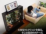 コレクションラック ディスプレイラック 浅型 ロータイプ カラー：ダークブラウン