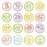 Pearhead Pregnancy Milestone Stickers, Multi by Pearhead [並行輸入品]