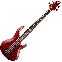 Amazon.co.jp: ESP x バンドリ！ BTL LISA BanG Dream! Roselia 今井