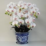 光触媒の胡蝶蘭 鉢植え 造花 Mサイズ-5本立 H70cm(白/花弁・薄赤-青のデザイン鉢)