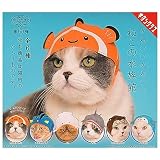 ねこのかぶりもの第9弾 かわいいかわいい ねこの水族館 (再販) × 全6種セット フルコンプ ガチャガチャ カプセルトイ