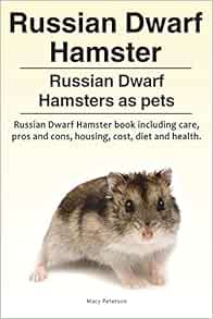 how to look after a russian dwarf hamster