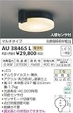 AU38465L 電球色LED人感センサ付アウトドアシーリング