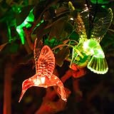 10 Color Changing LED Hummingbird Solar Garden String Lights [並行輸入品]