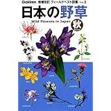 日本の野草 秋 フィールドベスト図鑑 亮 矢野 本 通販 Amazon