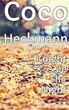Knight In The Night - Ambushed At The River (English Edition)