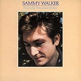 ブルー・リッジ・マウンテン・スカイライン