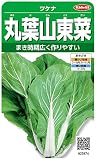 サカタのタネ 実咲野菜2874 丸葉山東菜 ツケナ 10袋セット
