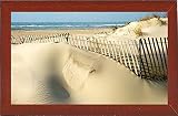 ロバート・Moses Dune by Harold Silverman – ビーチ、Palms &灯台 16"x27" 74719-42-3FUSA