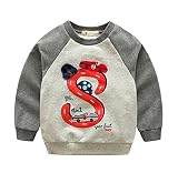 子供服 春秋 長袖 Tシャツ トレーナー 丸い襟 キッズ ベビー 子供 男の子 女の子 おしゃれ カジュアル ファッション 可愛い 3色