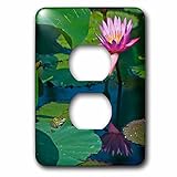 3dRose lsp_209861_6 Canada, Manitoba, Winnipeg. Frog On Lily Pad with Blossom. - 2 Plug Outlet Cover